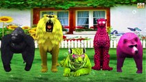 Lion, Tiger, Gorilla, Finger Family Nursery Rhymes | Kids Rhyme For Children Rhymes Collection