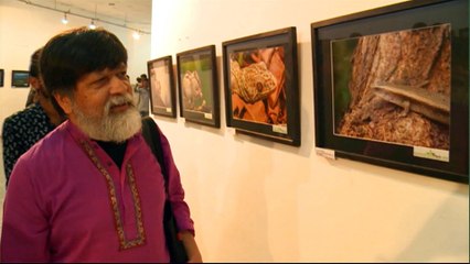 Environment takes centre stage at Bangladesh photo exhibit