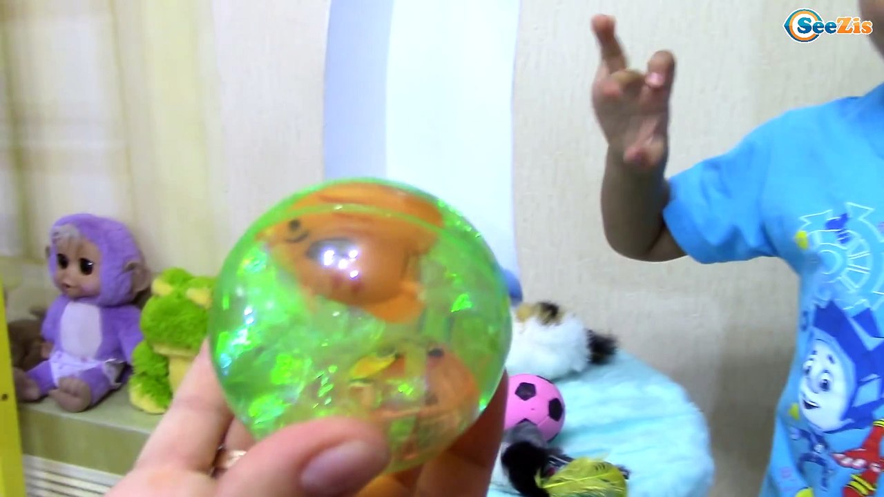 Наши Кошки и Коты Видео для Детей Котенок Смешные Животные для Детей Funny Cats and Kittens