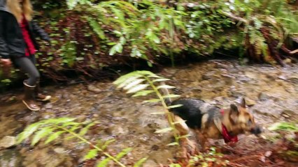 Cette femme vit seule dans son van et voyage !