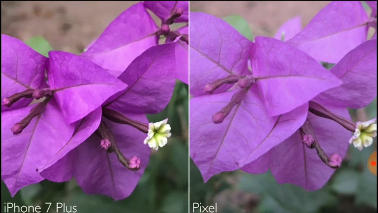 Camera Test