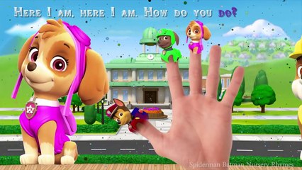 Paw Patrol Jumping on the Bed - 5 little Chase, Rocky, Rubble, Zuma, Skye Jumping on the Bed Lyrics