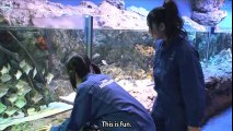 [KIDS] Sudou Maasa & Tsugunaga Momoko - Hello! Channel Aquarium Segment