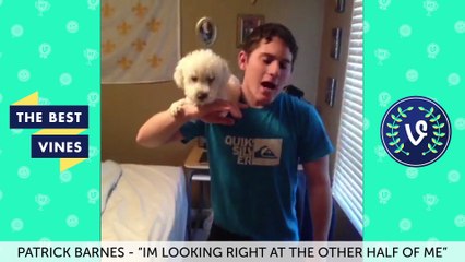 NEW Best Vines of 2017 | FUNNIEST AlliCattt Vine Compilat