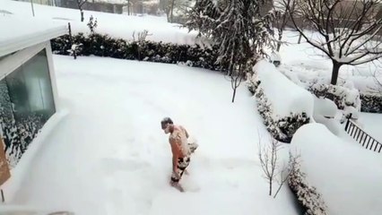 Avatar Atakan karda yüzdü