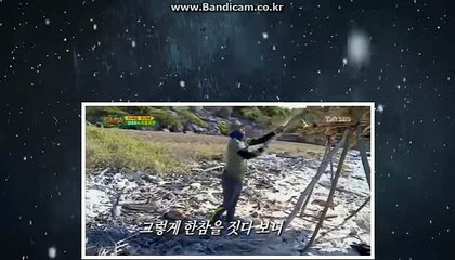 [solution]밸런스제작,스포츠제작,각종솔루션제작임대해드립니다