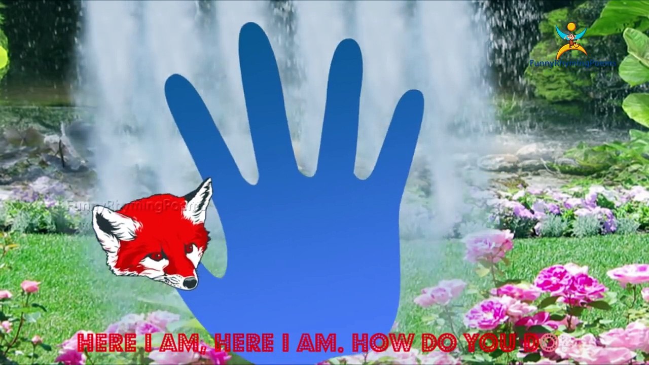 fox Finger family 3d rhyme | Nursery Children Finger Family song