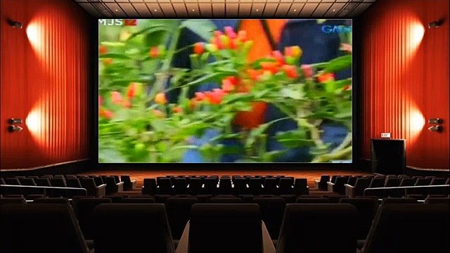 KMJS January 8, 2017 P3 / Dailynewsportal.net ☑