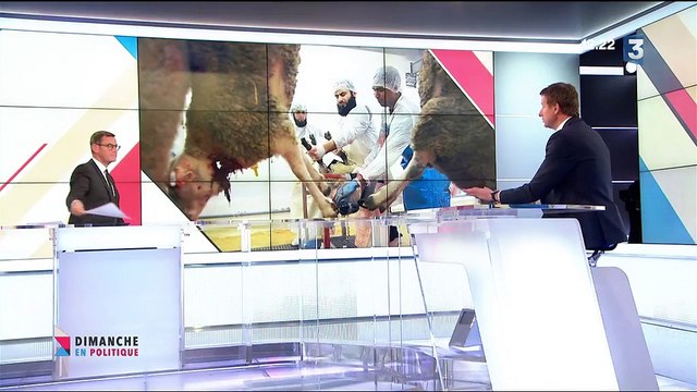 Yannick Jadot : Manuel Valls, c’est docteur Jekyll et mister Hyde