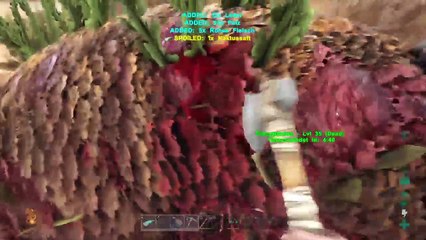 DonAleszandro's ARK Survival Evolved : ««-Überleben mit Don Rambo dem Spartaner-»» (705)