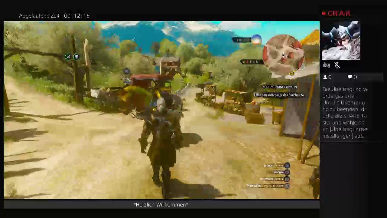 PS4-Live-Übertragung von malj1234567890 (28)