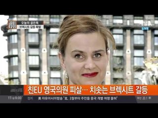 영국 브렉시트 때문에 피살 사건까지…브렉시트란?
