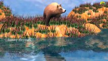 Bear Finger Family Nursery Children 3d English Rhymes | Animated Finger kids songs