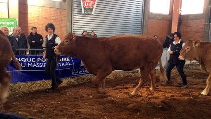 Présentation prix d'ensemble au concours limousn de Varennes sur Allier