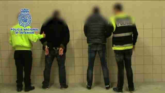 29 detenidos y más de 6.200 plantas de marihuana intervenidas en 3 operaciones.