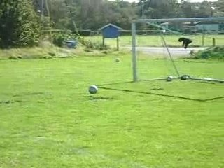 Träning 8 september (4)