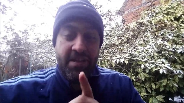 Sex ? Chien et chat Alsaciens et le Professeur Djack d' Alsace Brumath