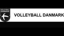 Denmark Men 1st Division Volleyball 8 Jan 2017 Match Official Result