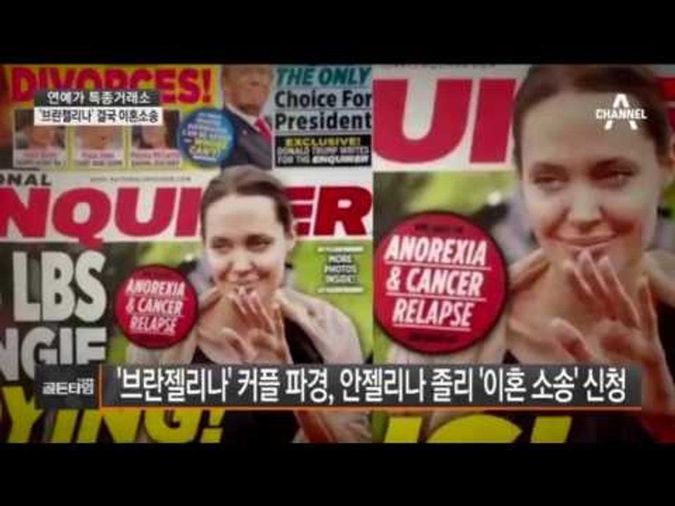‘브란젤리나’ 커플 파경, 안젤리나 졸리 ‘이혼 소송’ 신청