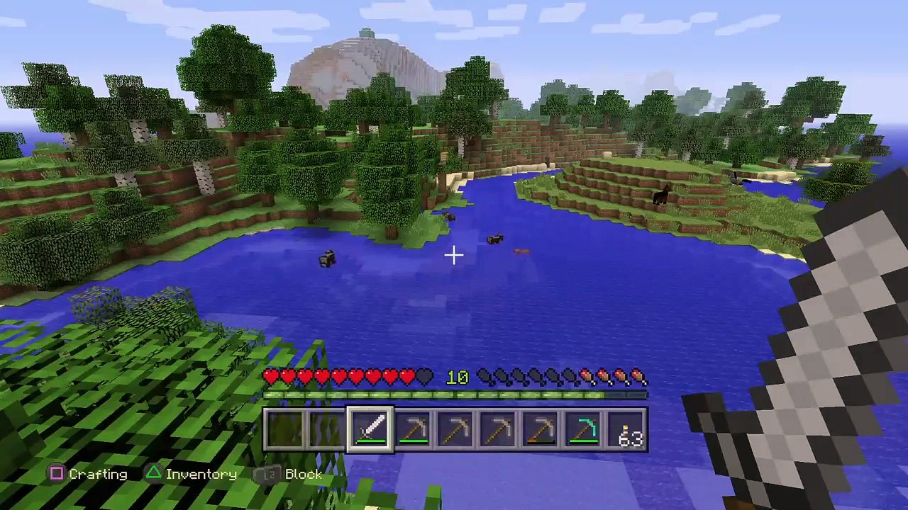 Minecraft| Survival (8)