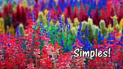 A Graça De Deus Na Sua Vida