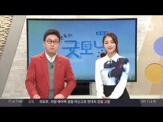 [굿모닝2] 가을문화충전 '광주비엔날레' & 한라산 단풍여행