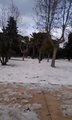 Nella villa comunale di Andria con la burrata di neve