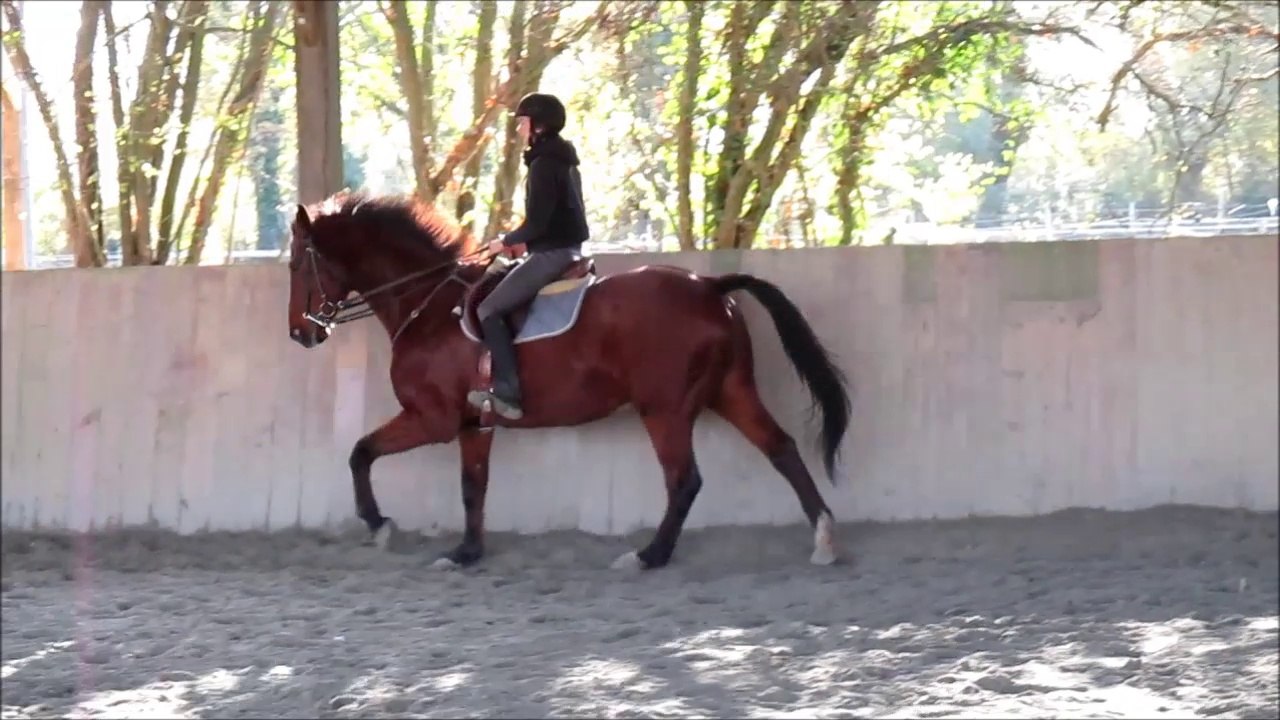 Changements de pied Toronto décembre 2016