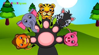 Finger Family Children Nursery Rhymes _ Finger Family Animals Cartoons for Children