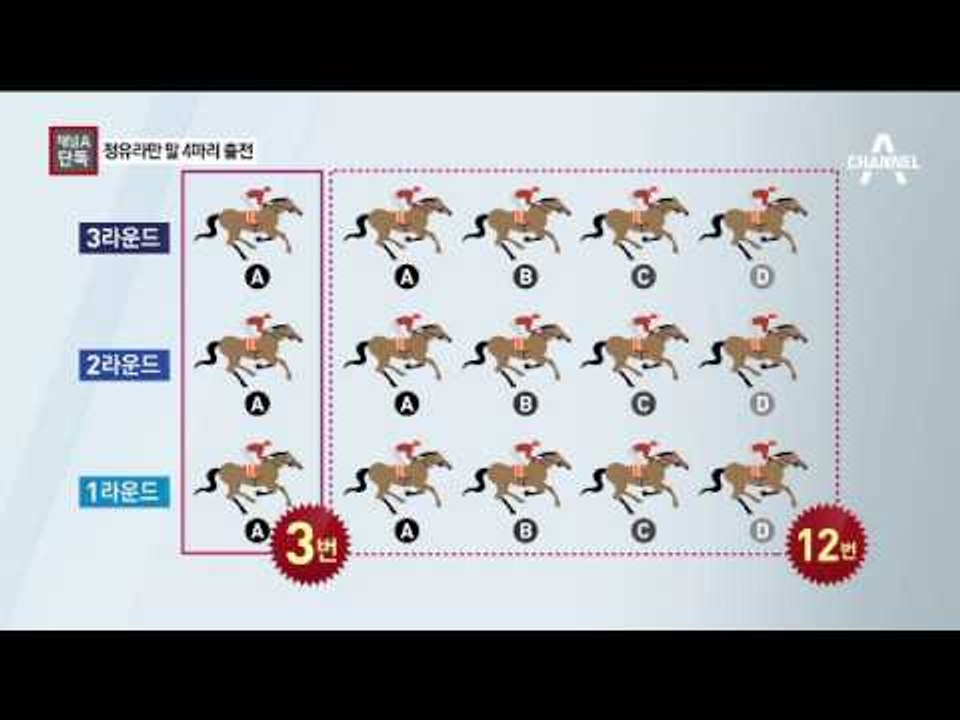 [채널A단독]“돈도 실력” 정유라, 혼자 말 4마리 출전