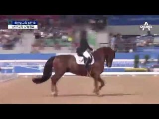 “갈 대학 정해졌다”…고3 때 학교 나온 날 17일