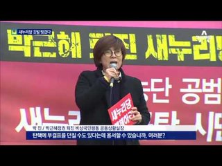 與 당사 앞 새누리당 깃발 갈갈이 찢겼다