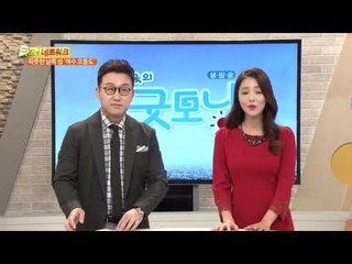 따뜻한 남쪽 섬 ‘여수 오동도’