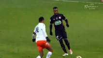 Fekir N. Goal HD - Lyon	3-0	Montpellier 08.01.2017