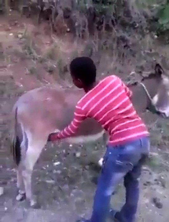 Donkey Ride