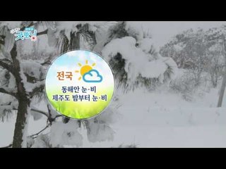 주춤했던 한파가 찾아오는 오늘, 동해안 오후까지 눈,비