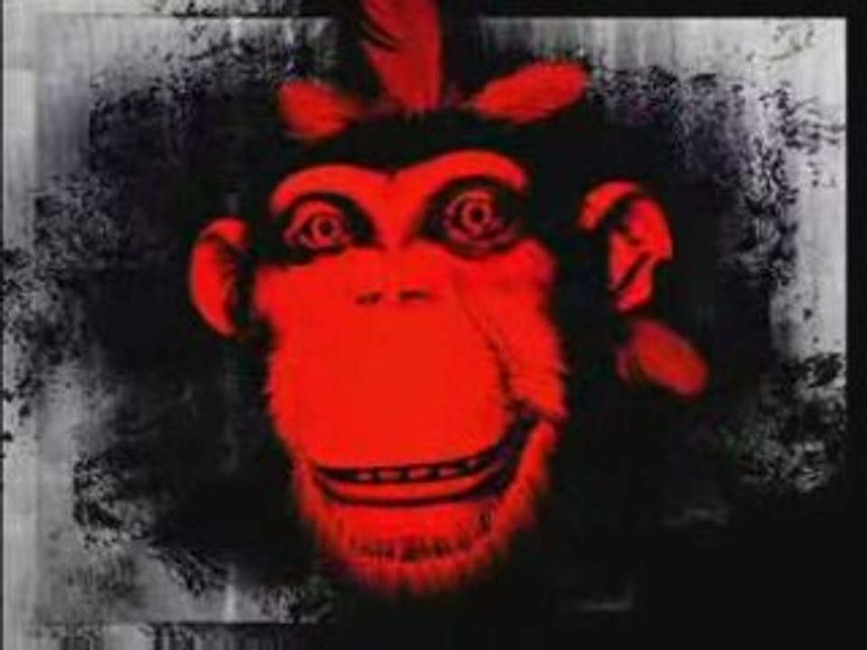 shakaponk HELL'O clip