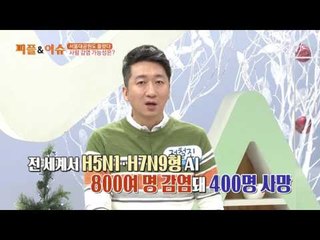 AI 서울대공원도 뚫렸다! 사람 감염 가능성은?