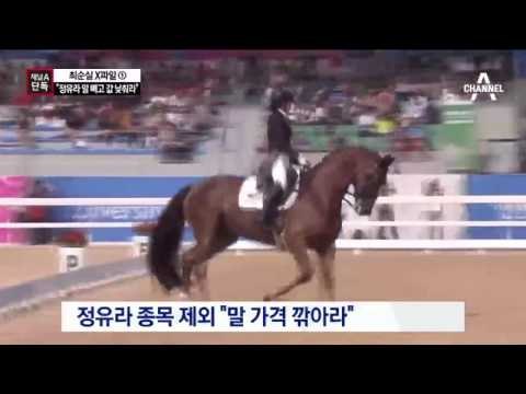 [채널A단독]“정유라 말 빼곤 ‘반값’ 말 사라”
