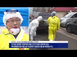 ‘AI 고양이’ 접촉 12명은 무증상…안심 못 해