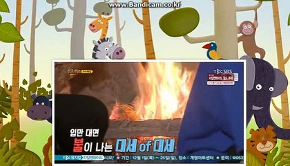 사설토토제작,토토솔루션 카톡:haricuty 스카이프:cuty hary