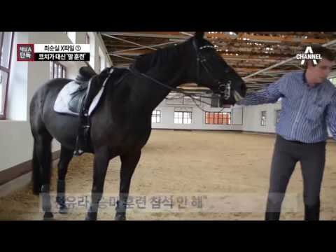 [채널A단독]정유라 대신 코치가 ‘말 훈련’