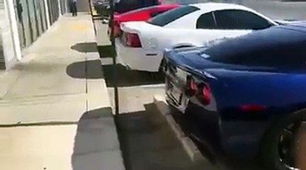 I think they scared him a little haha.