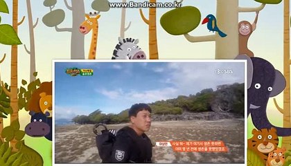 토토 솔루션 제작 전문업체