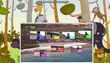 [CODSOFT]토토분양,토토솔루션매매