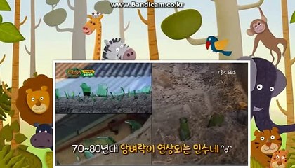 토토 사설솔루션 제작 전문업체
