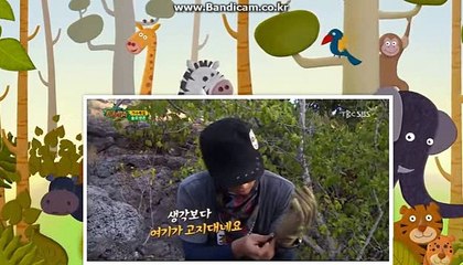 [totosolution]쉽게접할수있는관리자,최신형솔루션 CODSOFT