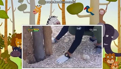 [CODSOFTtotosolution]솔루션개발업체,베너전문제작