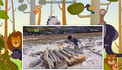 #2017년 최신형 #토토솔루션, 관리자 기능 업데이트 쉽고 편리하게 #자동으로바카라도즐기자 #토토솔루션 카톡:haricuty 스카이프:cuty hary