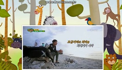 #전문적인스포츠토토솔루션판매 COD-SOFT 솔루션 (해외서버호스팅,D-Dos방어)